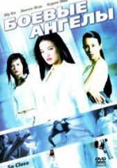 Боевые ангелы (2002)