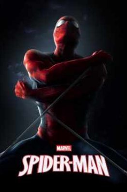 Человек паук 6