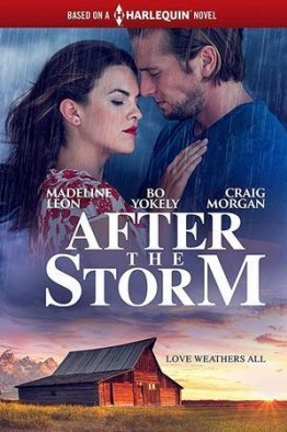 После бури (2019)
