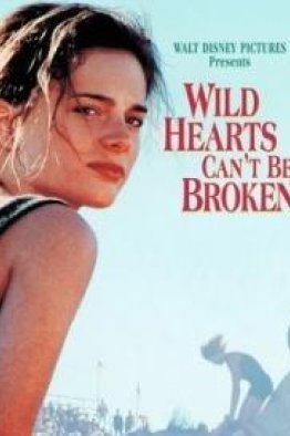 Храбрых сердцем не сломить (1991)