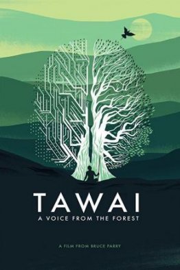 Таваи: голос, идущий из леса (2017)
